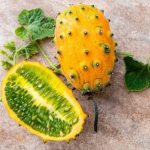 GRAINE - KIWANO, 10 graines
