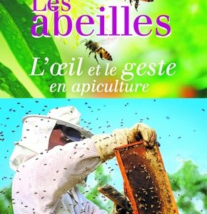 Les abeilles, l'oeil et le geste en apiculture